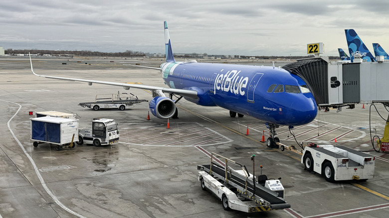 JetBlue airplane at JFK airport