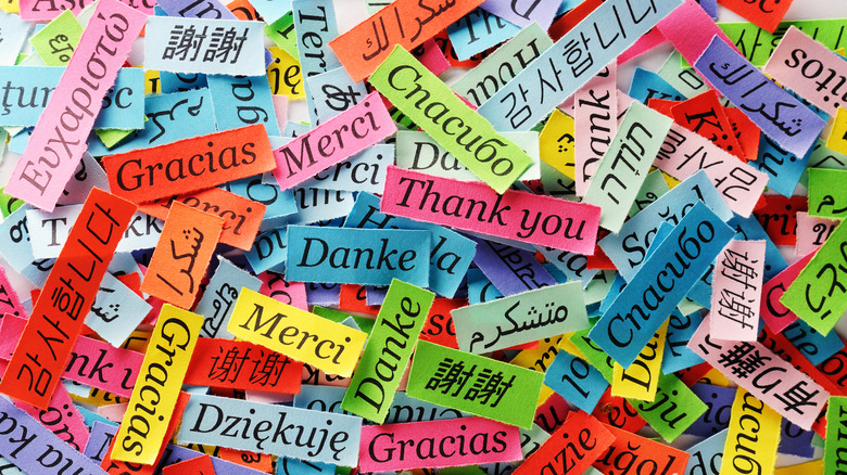 'Thank you' written in different languages on colorful paper strips
