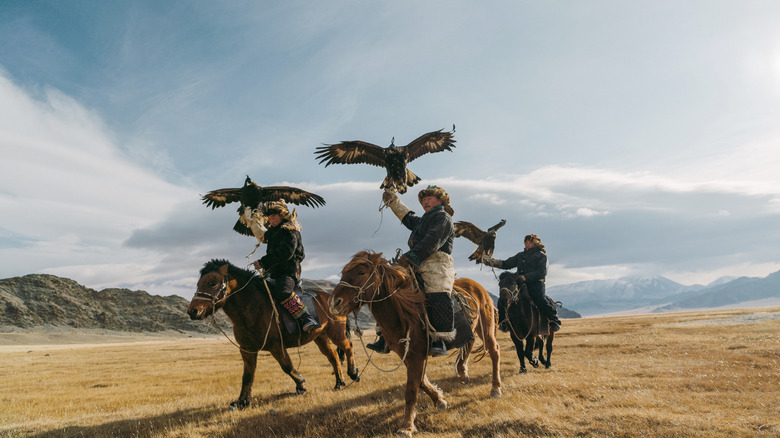 Nomadic herd men in Mongolia on horseback, holding falcons, surrounded by golden fields