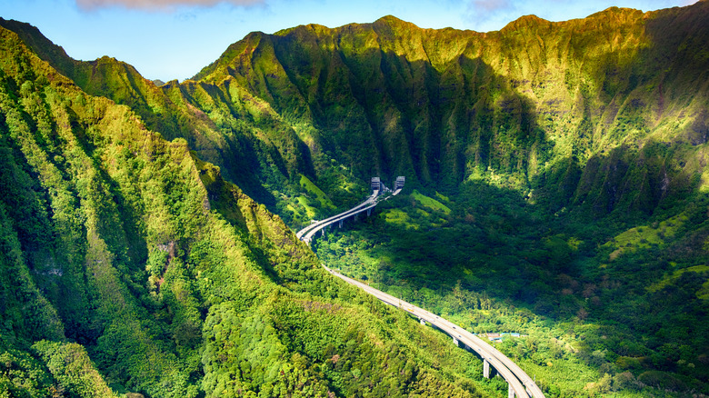 A highway stretches into rainforest-covered mountains in Hawaii