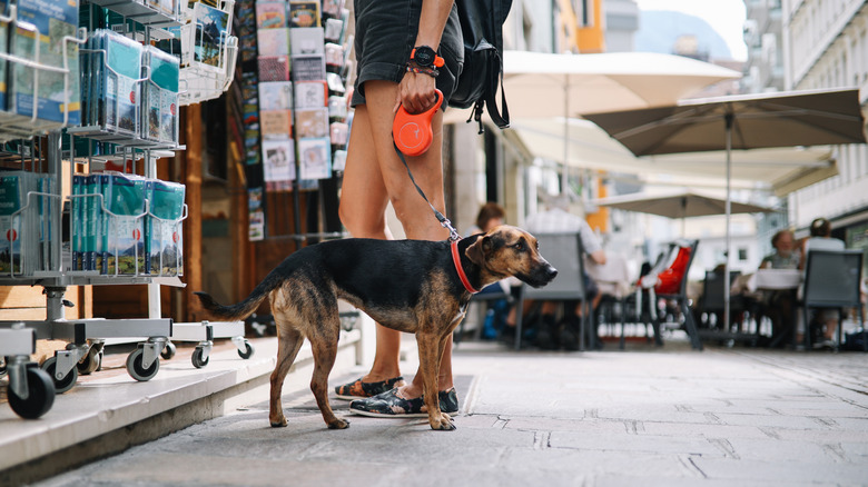 Woman infront of a Bolzano souvenir shop with her dog on a leash