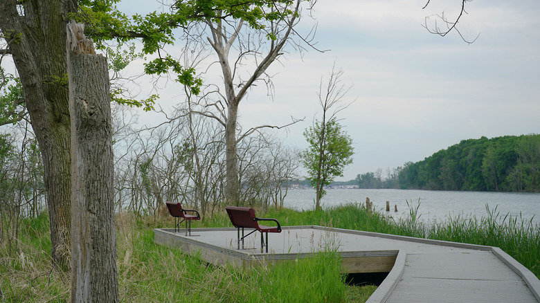 A wood boardwalk hiking trail with park benches at the International Wildlife Refuge in Trenton, Michigan