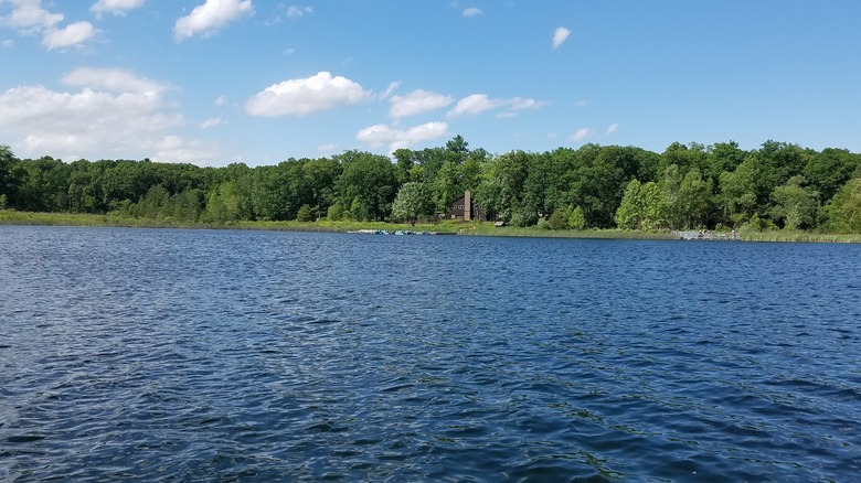 Looking across the lake to a tree-lined shore with a cabin