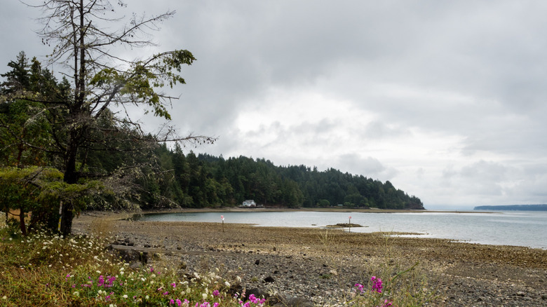 View of Hood Canal at Triton Cove State Park