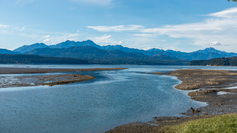 View of the Olympic Mountains from the Hood Canal