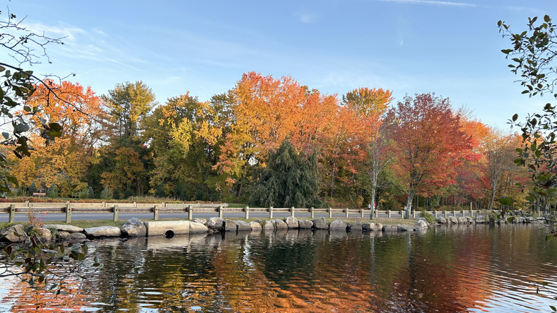 Lake at a park in Trumbull, Connecticut, surrounded by trees with fall colors