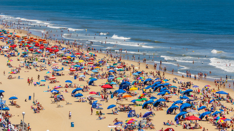 Aerial view of a crowded beach