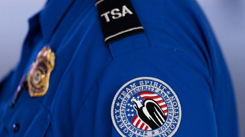 A detailed view of a Transportation Security Administration (TSA) patch on an employee's shirt at Orlando International Airport (MCO) on November 09, 2025 in Orlando, Florida.
