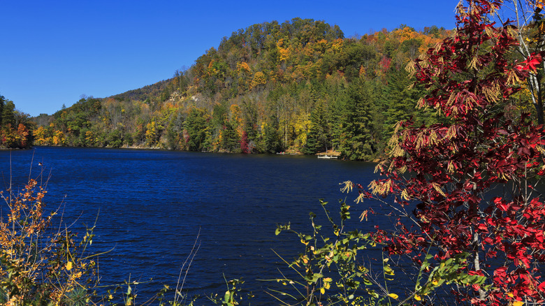 A small waterfall spurts between cliffs in the woods of Tuckasegee, North Carolina