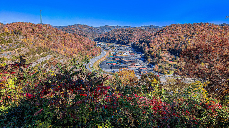 Aerial view of Pikeville with fall foliage