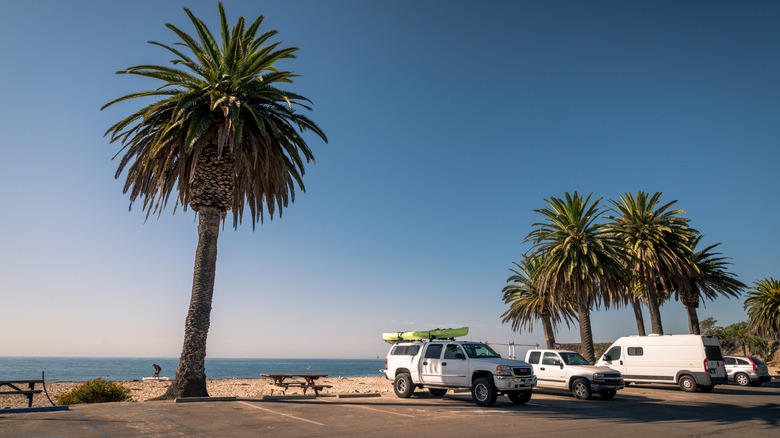 Car parked under palm trees at Refugio State Beach