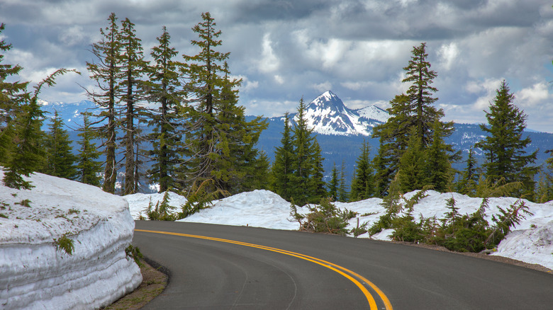 A road runs through a snowy forest, with tall mountains seen through the trees on the horizon