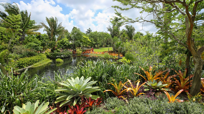 Tropical garden view with colorful bromeliads, lush greenery, palm trees, and a reflective pond at Naples Botanical Garden in Florida