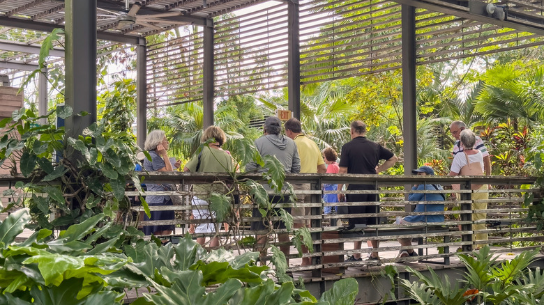 Group of people gathered under a shaded wooden pavilion surrounded by tropical plants at Naples Botanical Garden in Florida