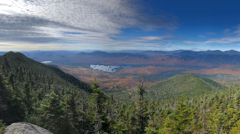 Macomb Mountain pine forest overlooking lake