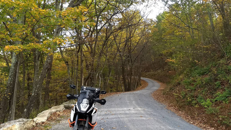A winding road lined with trees and a motorcycle in Buchanan State Forest.