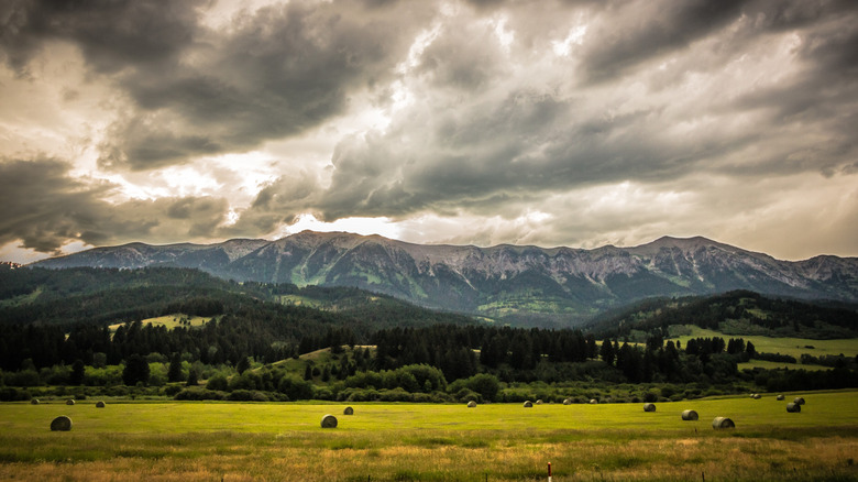 Bridger Bowl in the summer near Bozeman
