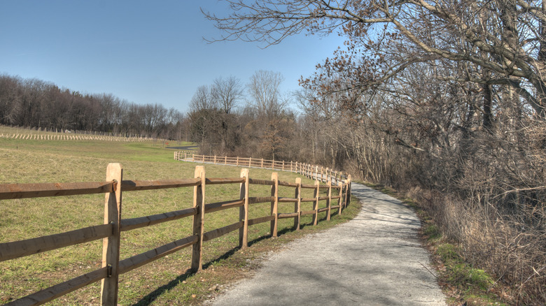 A trail curves toward a vineyard in rural Ohio