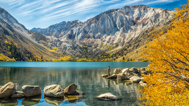 Convict Lake dotted in golden aspens during the fall