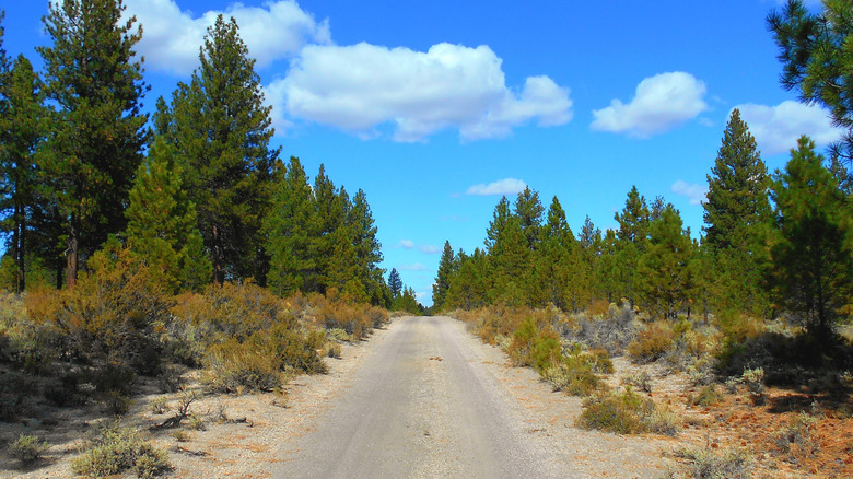 Oregon's FR200 road near Millican, Oregon on a sunny day