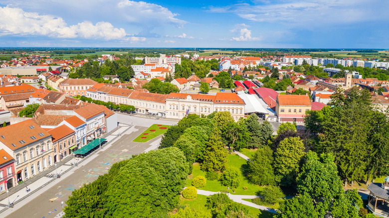 Terracotta rooftops in town with trees in park