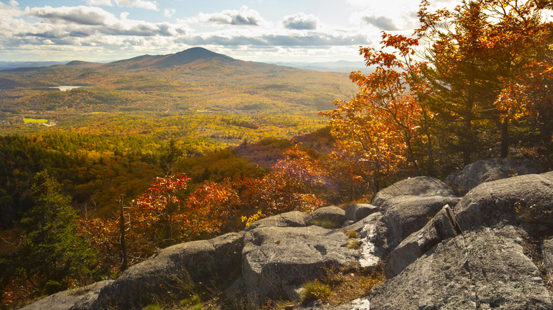 The view of trees and mountains near Rollins State Park, New Hampshire