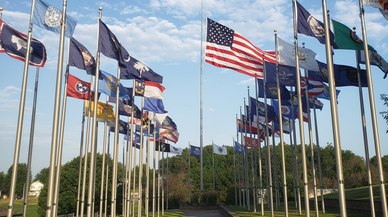 Brooklyn, Iowa showcases the flags of all 50 states, as well as international countries, garnering it the nickname 