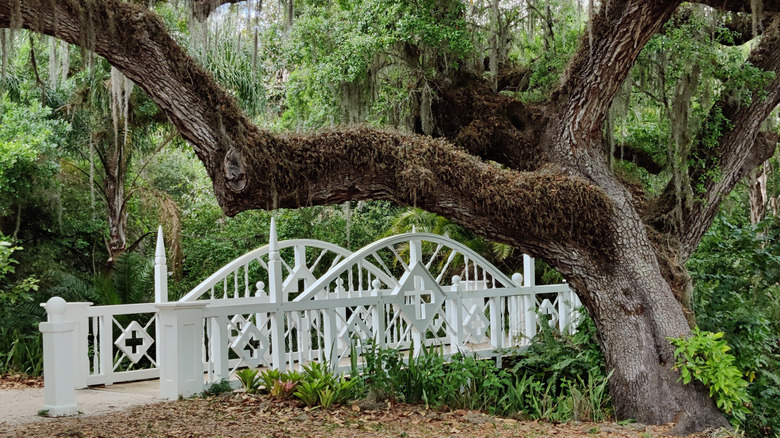 White wooden bridge in Koreshan State Park, Estero, Florida