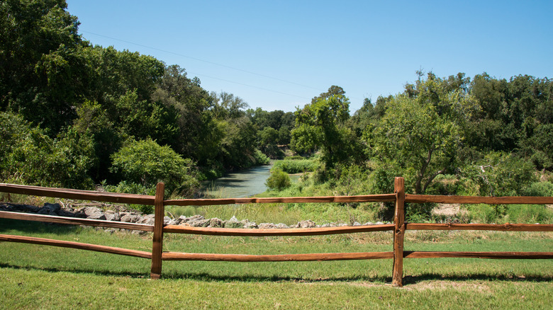 A creek running past palmetto trees in Palmetto State Park, Texas
