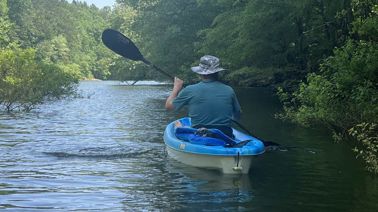 person kayaking in water surrounded by trees