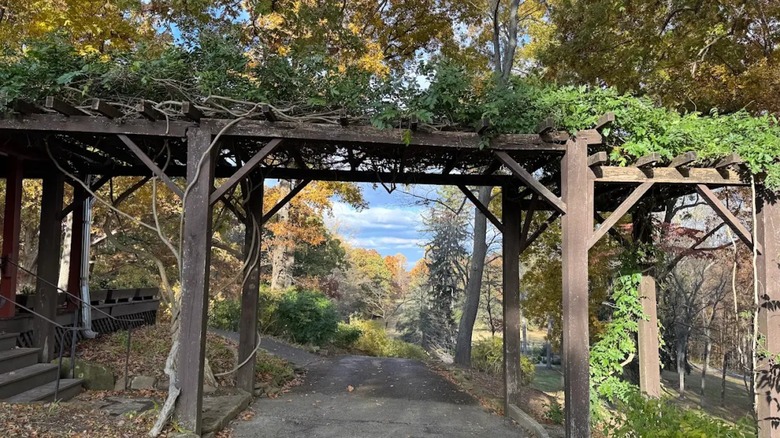 A view of the grounds of T.C. Steele State Historic Site depicting a small road traveling under an arbor with shrubbery