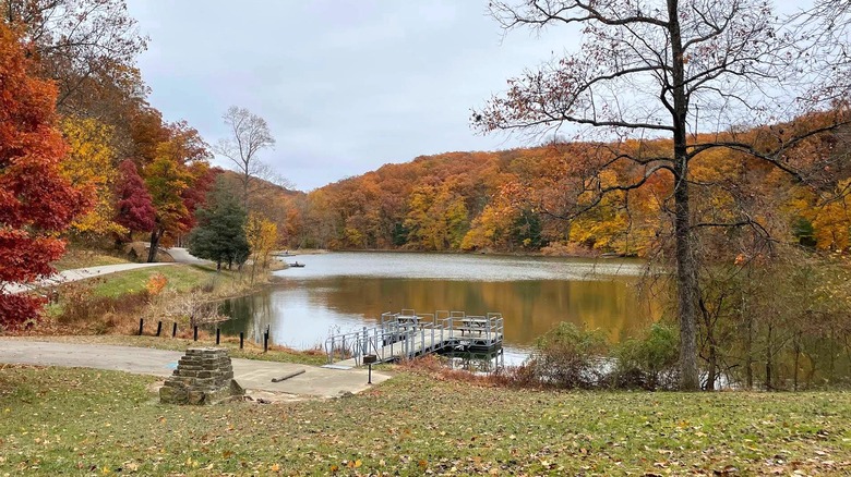 Autumn scenery in Jackson-Washington State Forest, Brownstown, Indiana