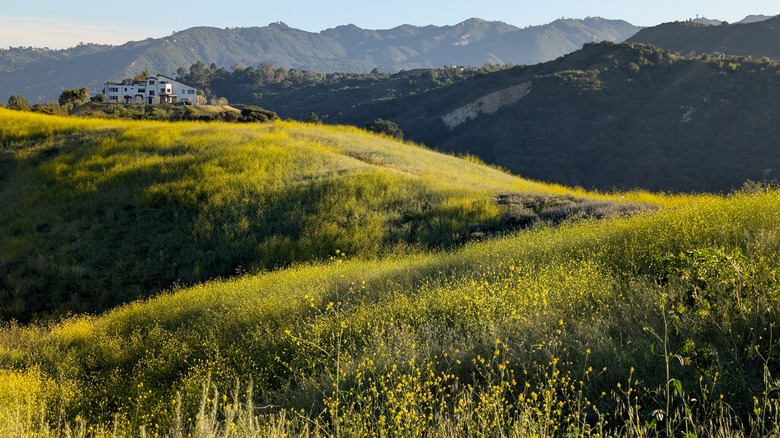 View of the mountains in Topanga Canyon