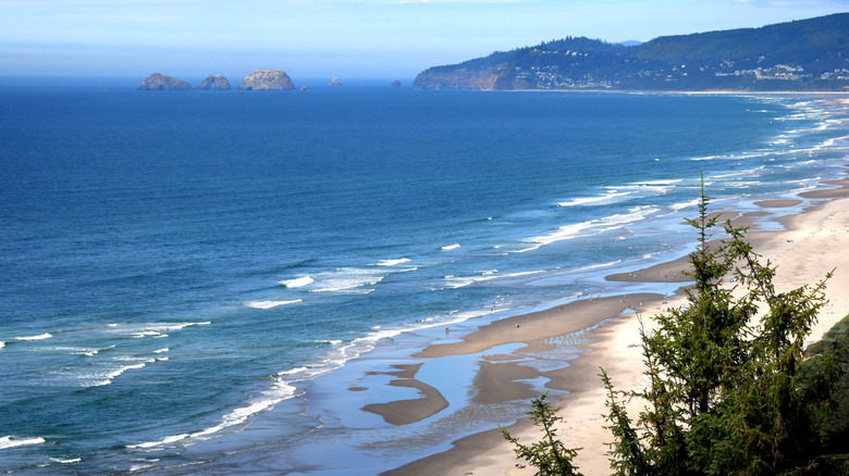Beach view from Andersons View Point overlooking Cape Lookout State Park in Oregon