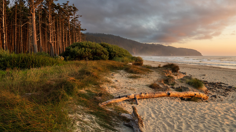 Sunset at Cape Lookout State Park, Oregon