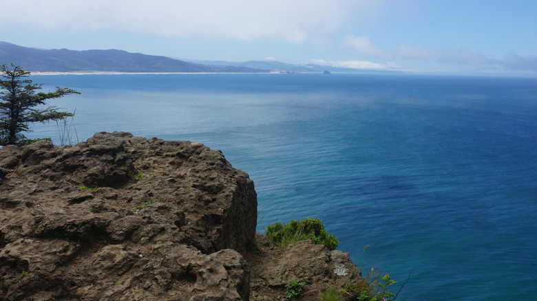 Ocean view from the cliffs at Cape Lookout State Park