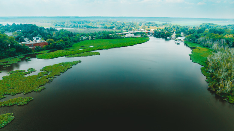 Aerial view of the Choptank River in Denton, Maryland