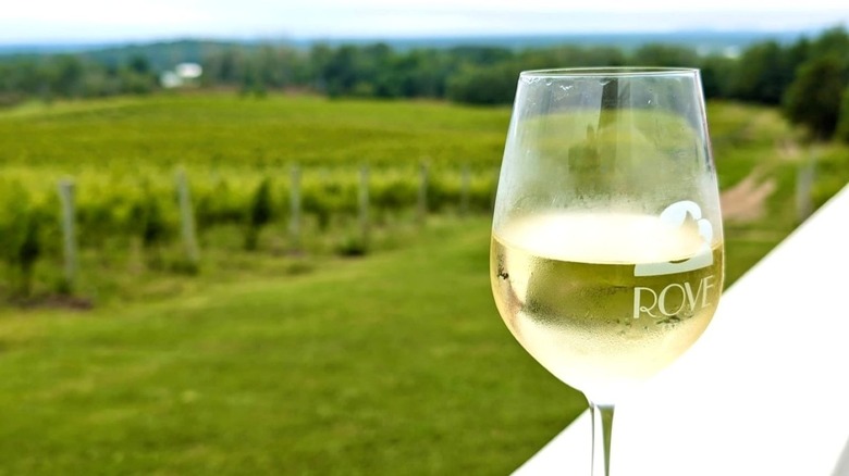 Rove Winery wine glass in front of grapevines