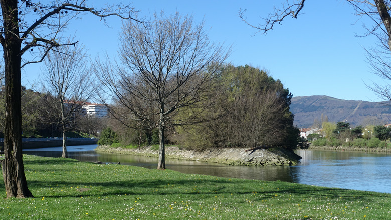 Park with trees and and Pheasant Island in a river
