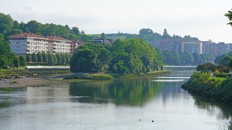 Pheasant Island  in the river with buildings on the shore in the background