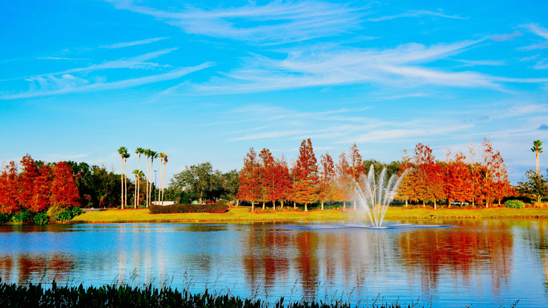 Lake view of Wesley Chapel in Florida