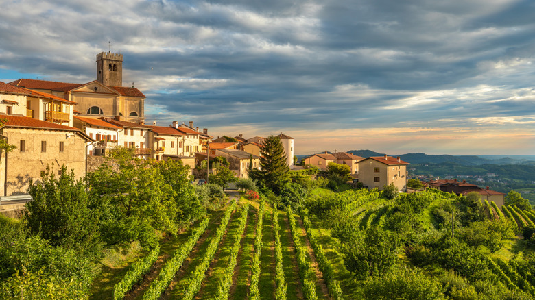 View of Brda's village of Šmartno and nearby winery, declared a cultural heritage monument