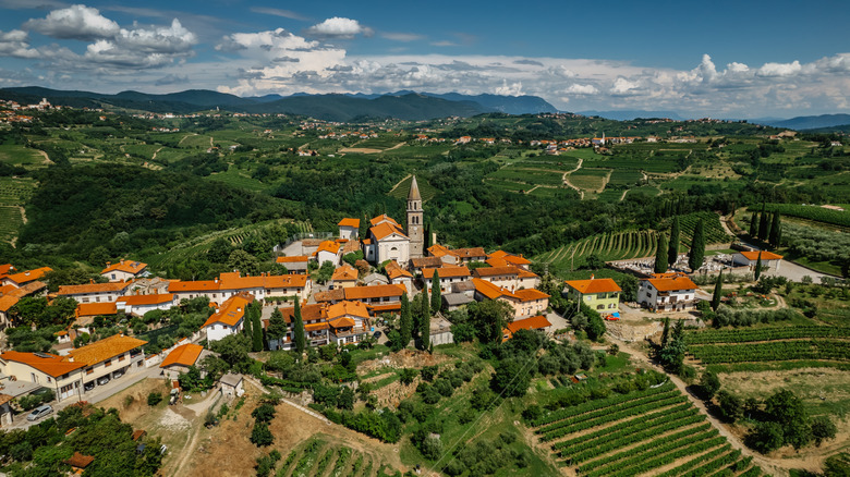Vineyard countryside surrounding Kozana in Goriska Brda, Slovenia