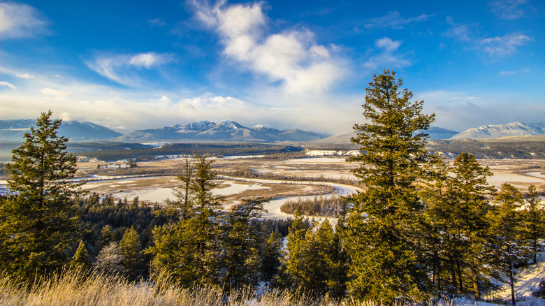 View over the Columbia Valley with trees and mountains in the distance