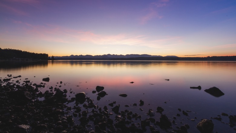 Shoreline of Puget Sound in Washington