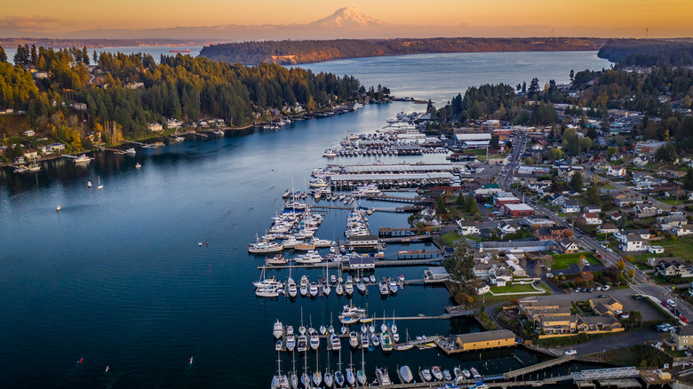 Aerial view of Gig Harbor in Washington with boats, houses, buildings, and trees