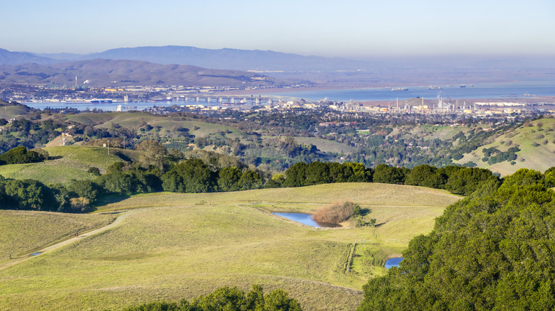 Rolling green hills with Lafayette cityscape and bay in background, Briones Regional Park near Lafayette