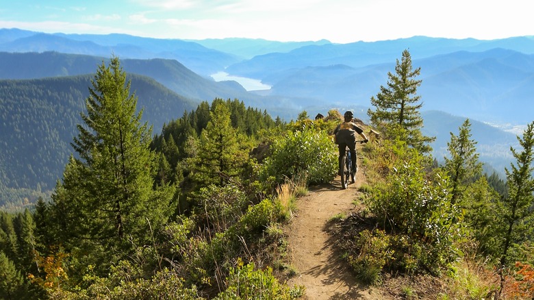 A mountain biker on a trail near Oakridge, Oregon