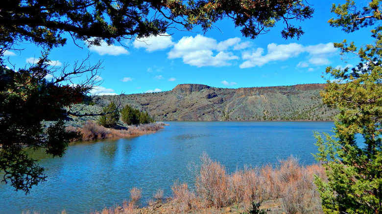 Lake and reservoir views of Prineville Reservoir