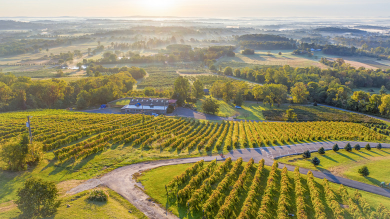 Bluemont Vineyards, located in Loudoun County, Virginia